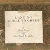 New Jungle Orchestra - DANCING CHEEK TO CHEEK