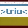 The Hans Ulrik / Steve Swallow / Jona Jo - TRIO