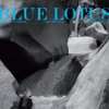 Blue Lotus