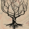 Kira Skov - Spirit Tree