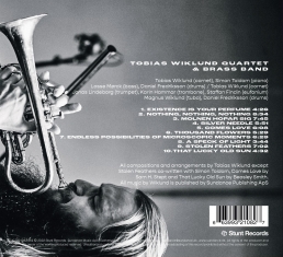 Tobias Wiklund - Silver Needle - Back Cover