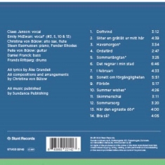 Claes Janson/Christina von Bülow - Det regnar i min stad - Back Cover